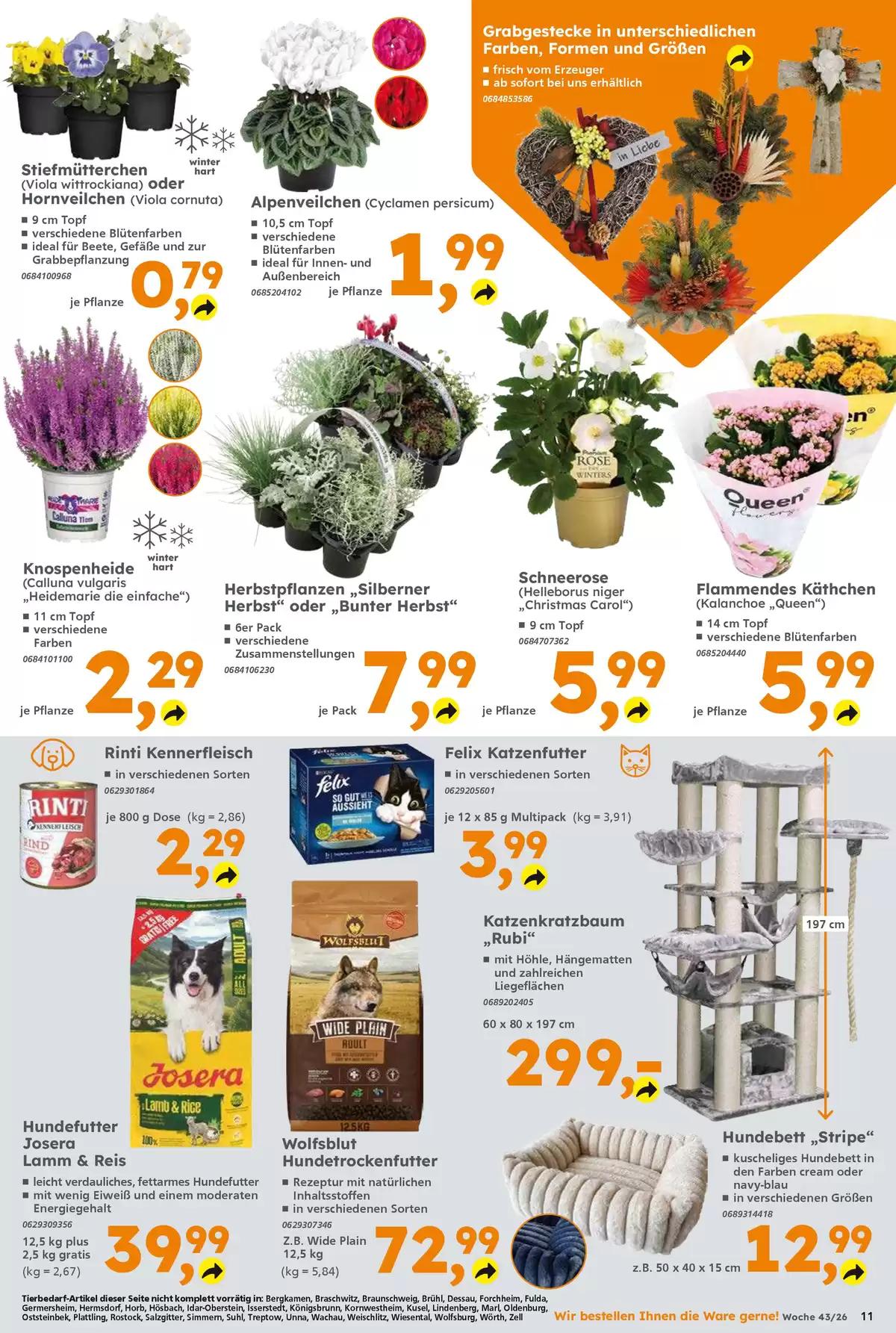 Pagina 11