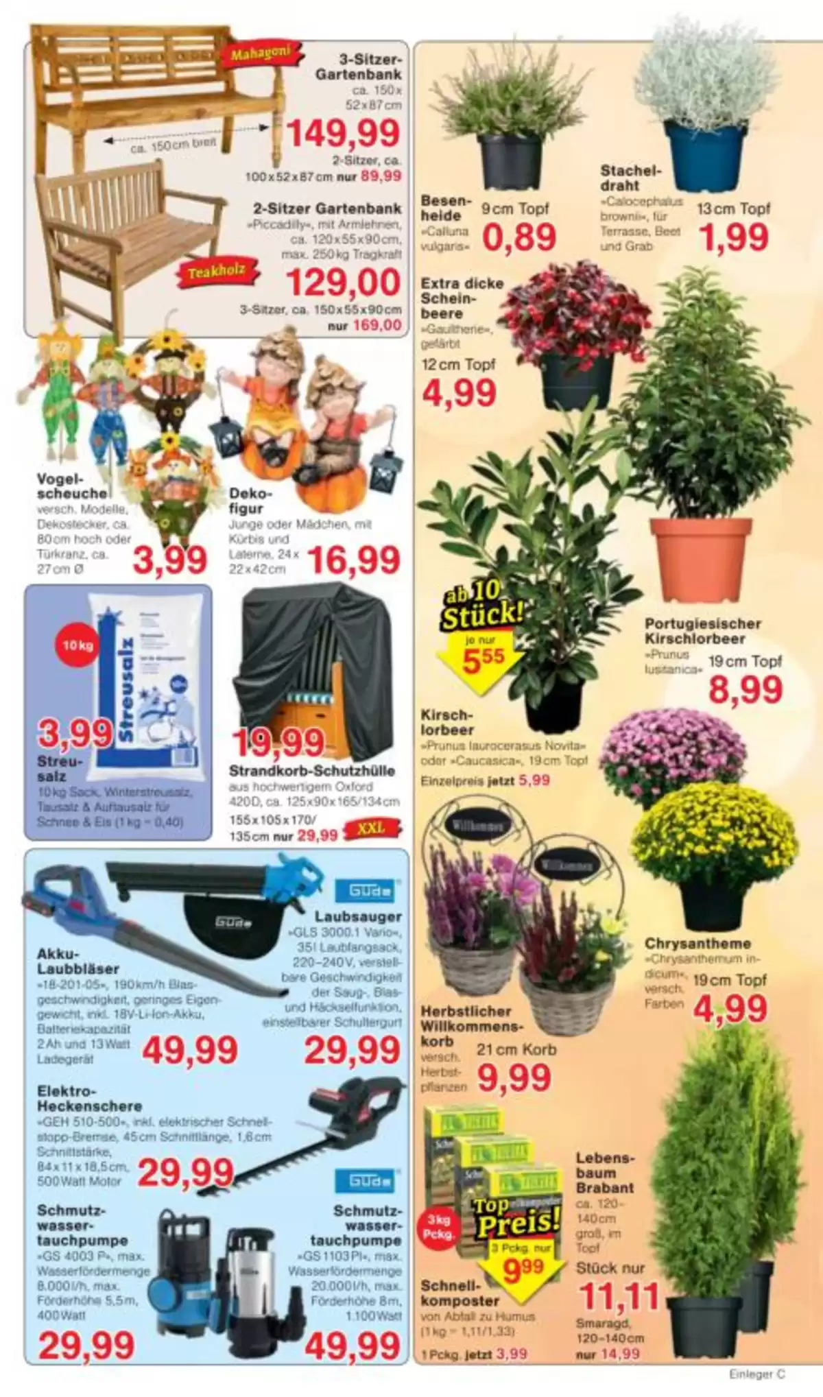 Pagina 7