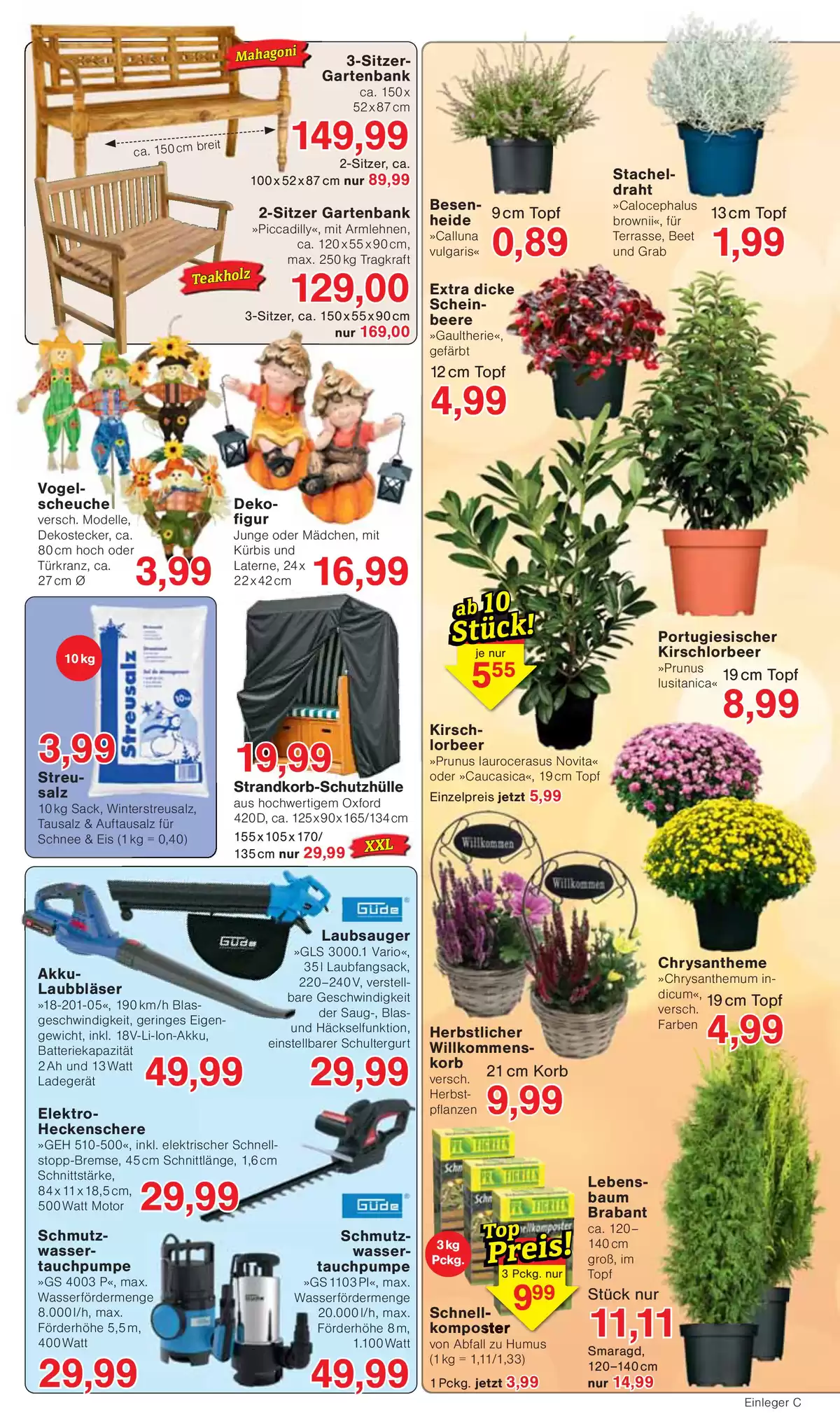 Pagina 7