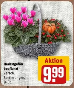 Herbstgefäß bepflanzt